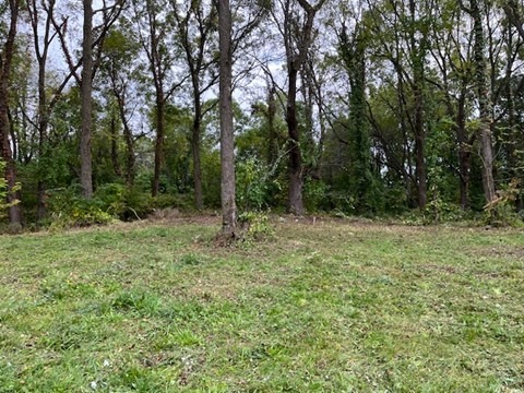 Cleared building site among mature trees